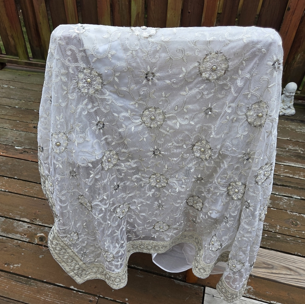 Elegant White Lace And Silver Indian Sari